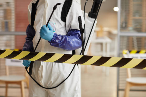Professional Blood Cleanup technician working in Willow Grove, TX